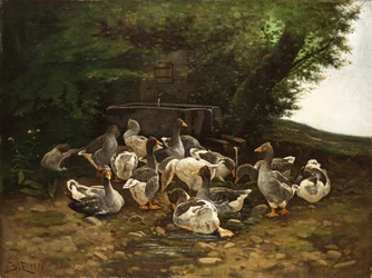 石の噴水でハイイロガン